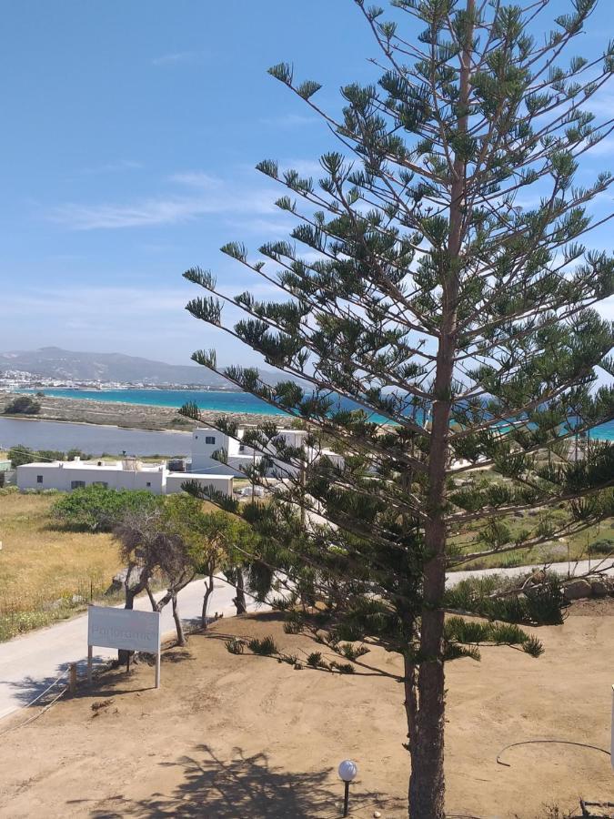 Апартаменты Panoramic View Агиос-Прокопиос Экстерьер фото